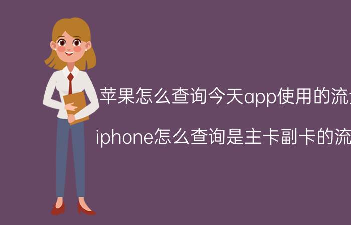 苹果怎么查询今天app使用的流量 iphone怎么查询是主卡副卡的流量？